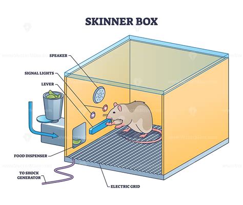 skinner box replica shoe box|skinner box functions.